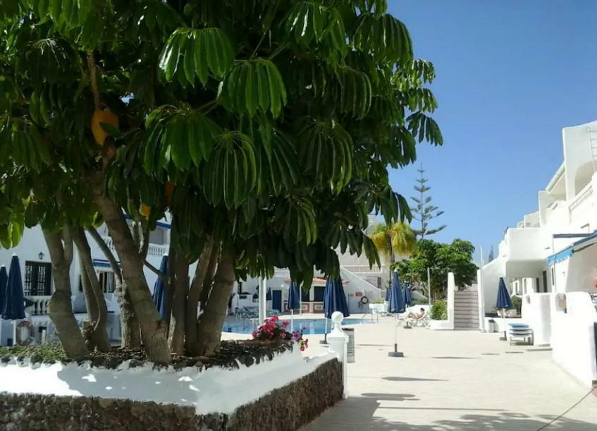Porto Royale Leilighet Los Cristianos  Eksteriør bilde